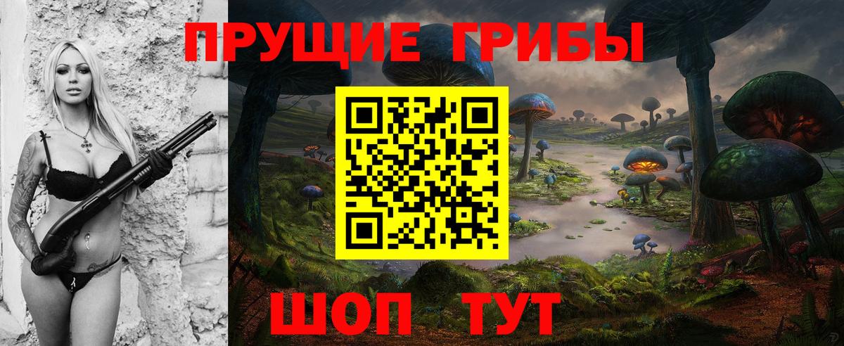 Галлюциногенные грибы Psilocybe Ейск