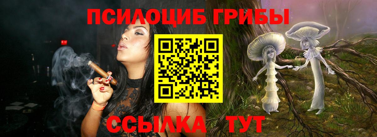 Галлюциногенные грибы Cubensis  Вход с VPN  где купить наркотик  Ейск 